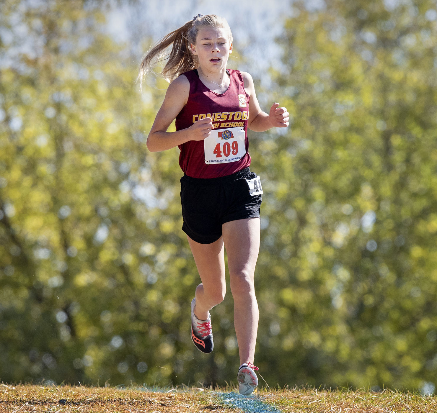 State cross country, 10.25